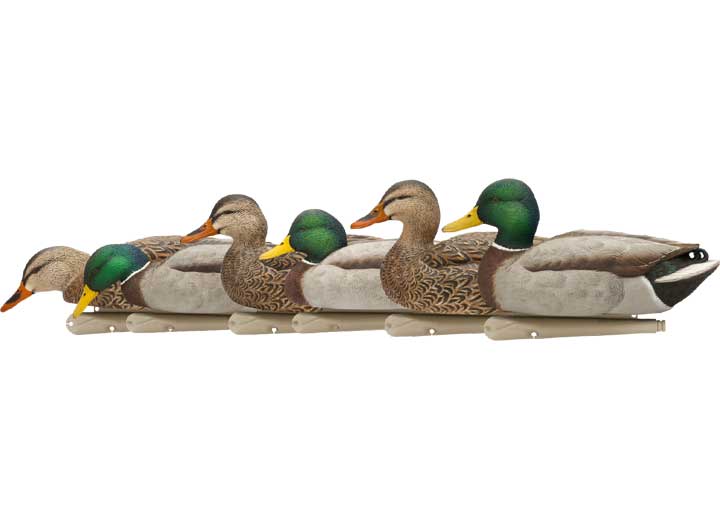 Avian-X Topflight Fusion Mallard Decoys, 6 Pack  • -AVX8076