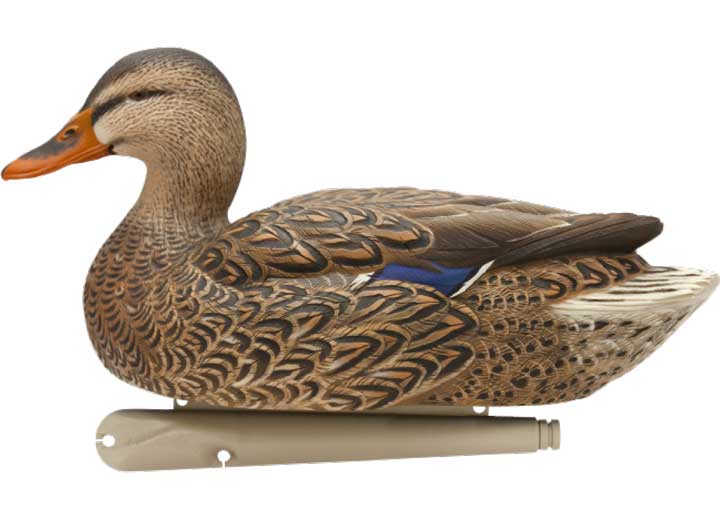 Avian-X Topflight Fusion Mallard Decoys, 6 Pack  • -AVX8076