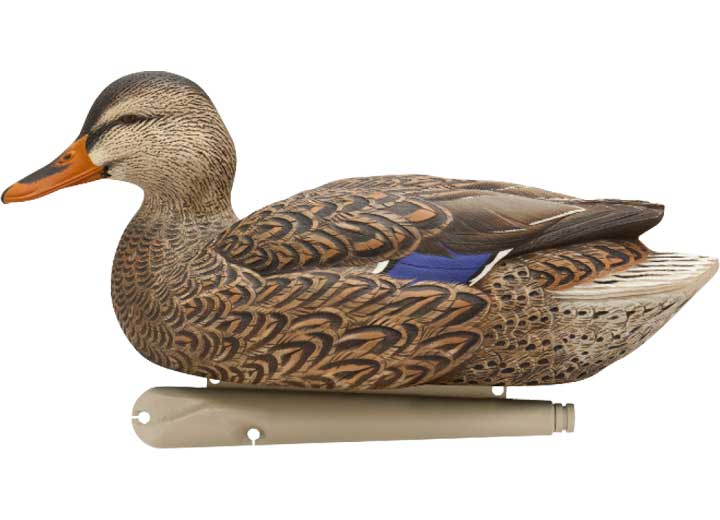 Avian-X Topflight Fusion Mallard Decoys, 6 Pack  • -AVX8076