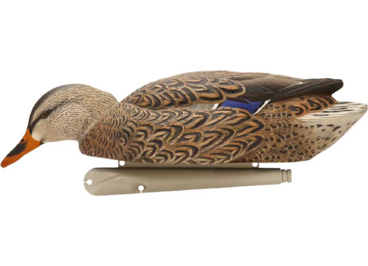 Avian-X Topflight Fusion Mallard Decoys, 6 Pack  • -AVX8076