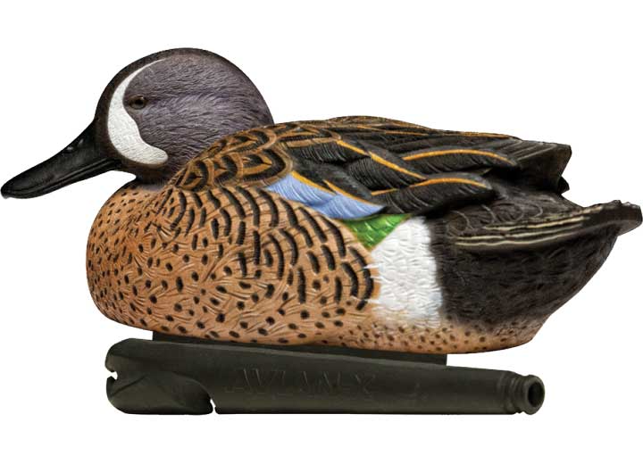 Avian-X Topflight Blue-Winged Teal Decoys, 6 Pack  • -AVX8080