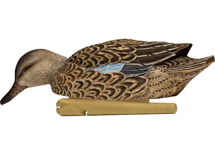 Avian-X Topflight Blue-Winged Teal Decoys, 6 Pack  • -AVX8080