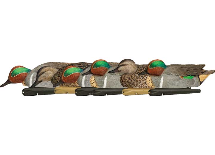 Avian-X Topflight Green-Winged Teal Decoys, 6 Pack  • -AVX8081