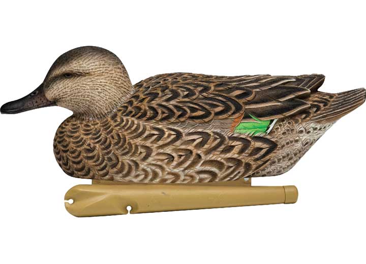 Avian-X Topflight Green-Winged Teal Decoys, 6 Pack  • -AVX8081