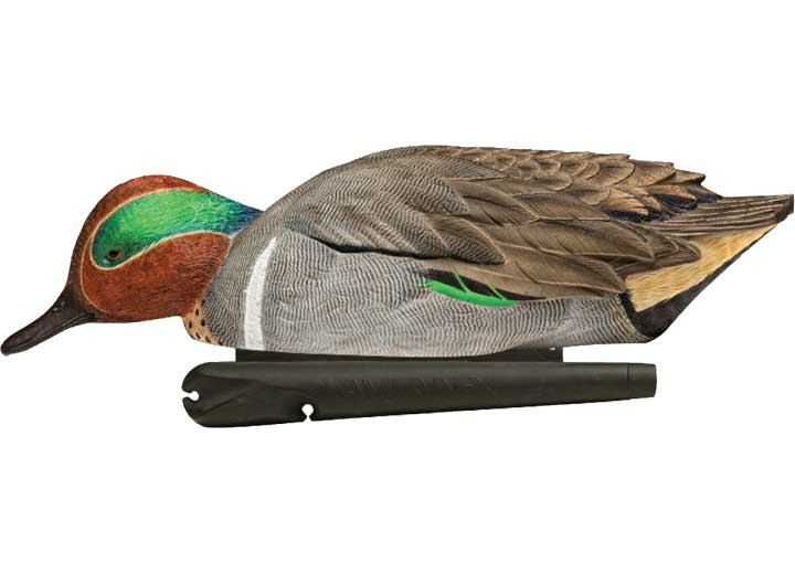 Avian-X Topflight Green-Winged Teal Decoys, 6 Pack  • -AVX8081