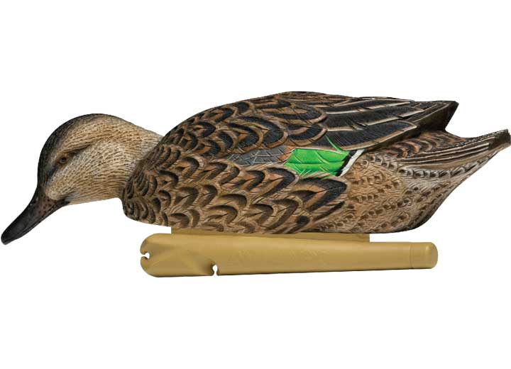 Avian-X Topflight Green-Winged Teal Decoys, 6 Pack  • -AVX8081