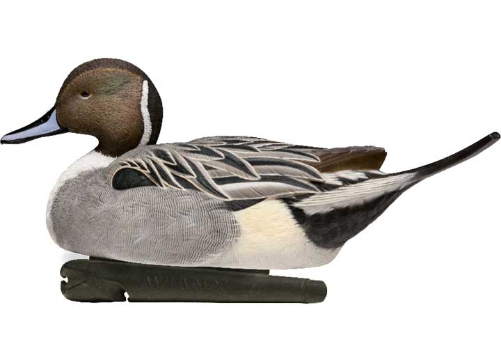 Avian-X Topflight Pintail Decoys, 6 Pack  • -AVX8082