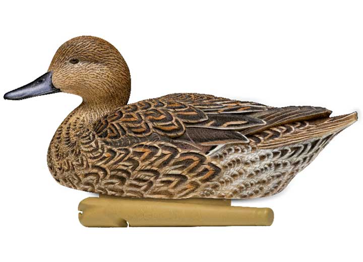 Avian-X Topflight Pintail Decoys, 6 Pack  • -AVX8082