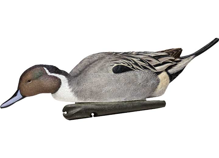 Avian-X Topflight Pintail Decoys, 6 Pack  • -AVX8082