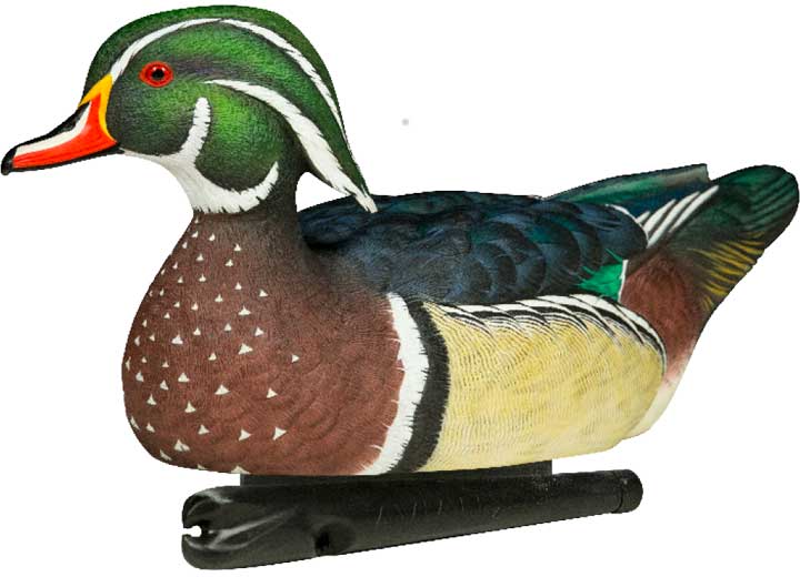 Avian-X Topflight Wood Duck Decoys, 6 Pack  • -AVX8083