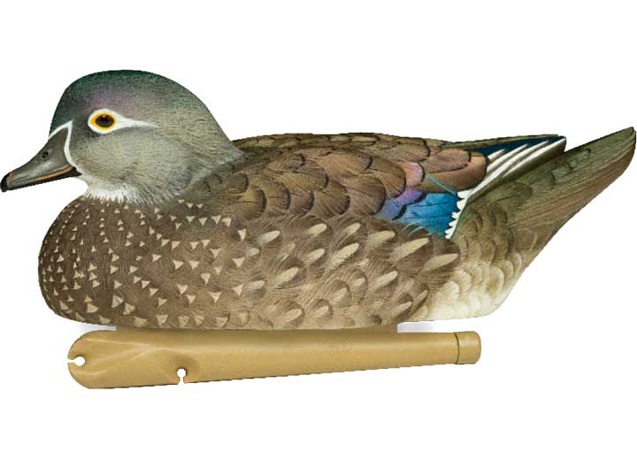 Avian-X Topflight Wood Duck Decoys, 6 Pack  • -AVX8083