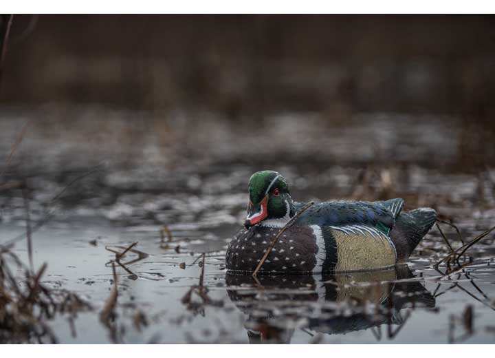 Avian-X Topflight Wood Duck Decoys, 6 Pack  • -AVX8083