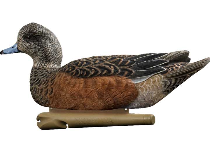 Avian-X Topflight Wigeon Decoys, 6 Pack  • -AVX8084