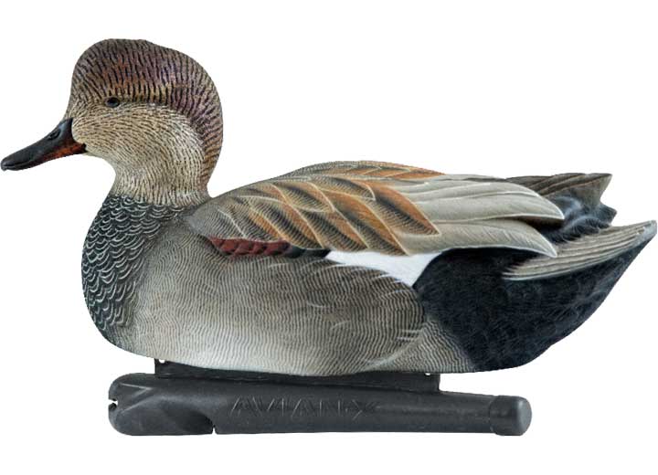 Avian-X Topflight Gadwall Decoys, 6 Pack  • -AVX8085