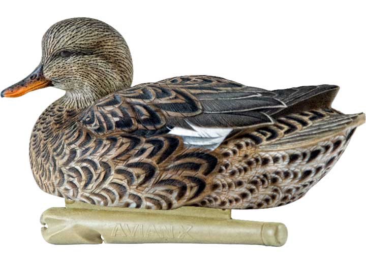 Avian-X Topflight Gadwall Decoys, 6 Pack  • -AVX8085