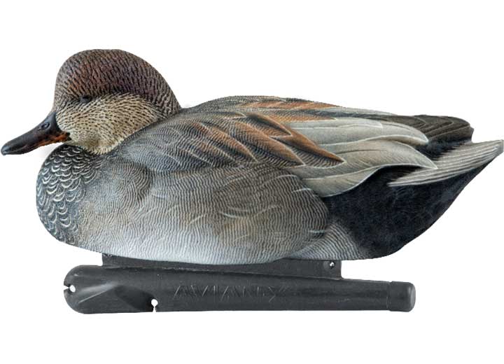 Avian-X Topflight Gadwall Decoys, 6 Pack  • -AVX8085