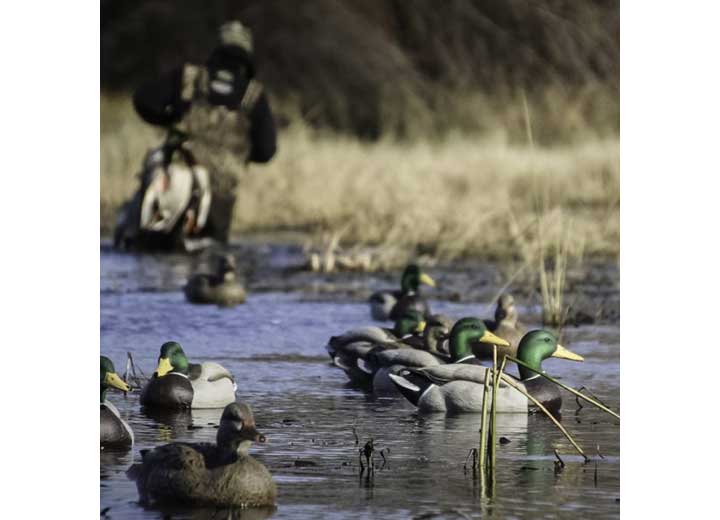 Beavertail Floater Mallards Decoys 6 Pack  • 450025