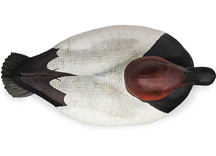 Beavertail Refuge Series Canvasback Floater Decoys, 6 Pack  • 450031