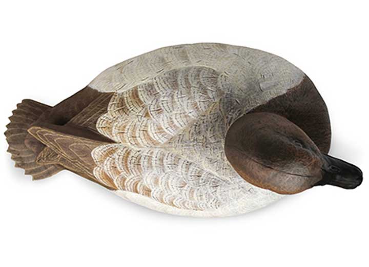 Beavertail Refuge Series Canvasback Floater Decoys, 6 Pack  • 450031