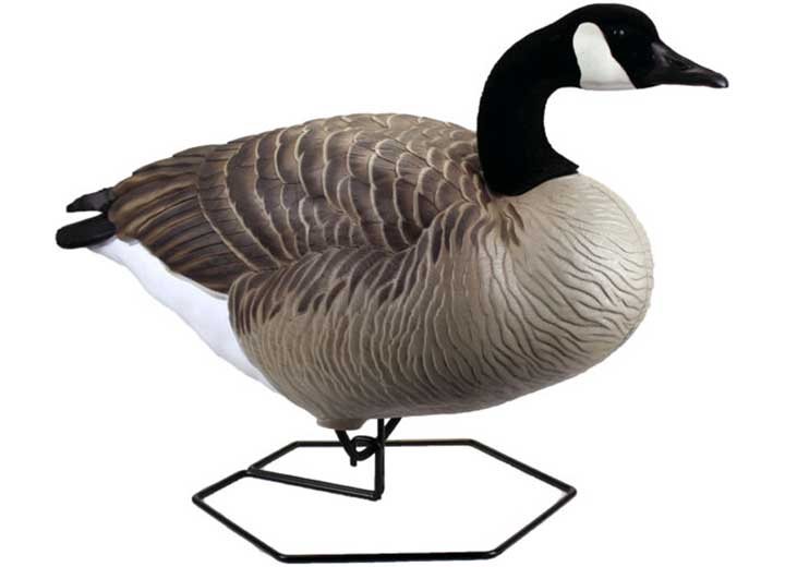 Beavertail Dominator Series Full Body Decoys, Active 4 Pack  • 450045