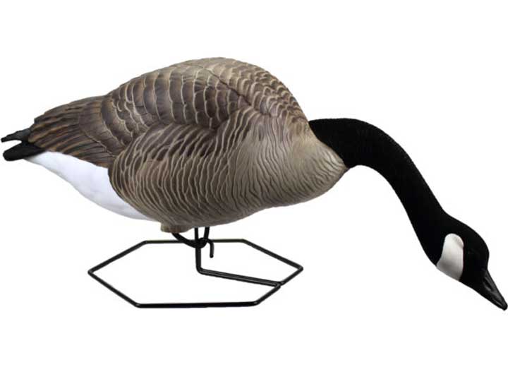 Beavertail Dominator Series Full Body Decoys, Active 4 Pack  • 450045