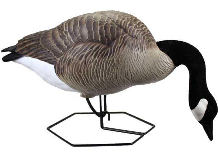 Beavertail Dominator Series Full Body Decoys, Active 4 Pack  • 450045