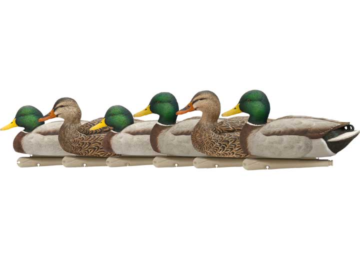 Avian-X Topflight Mallard Decoys Open Water 6 Pack  • -AVX8060