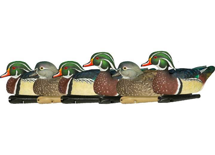 Avian-X Topflight Wood Duck Decoys, 6 Pack  • -AVX8083