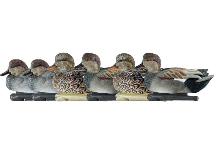 Avian-X Topflight Gadwall Decoys, 6 Pack  • -AVX8085