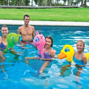 Wow Watersports Pool Pals Assorted 12 Pack  • 17-2050