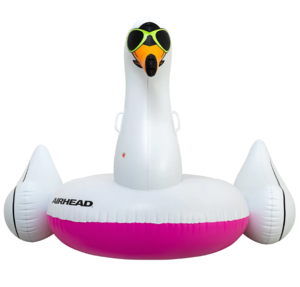 Airhead Cool Swan Pool Float  • AHPF-3018