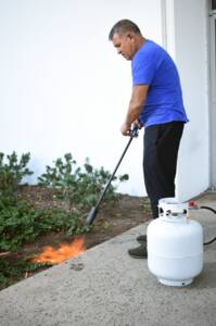 Flame King Heavy Duty 100,000 BTU Propane Torch Weed Burner  • YSNPQ1000T
