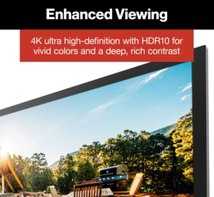 Furrion Aurora Full-Sun 4K LED Outdoor Smart TV - 43