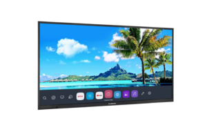 Furrion Aurora Full-Sun 4K LED Outdoor Smart TV - 65