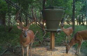 Banks Outdoors Feedbank 600 Gravity Deer Feeder • FB600G