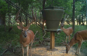 Banks Outdoors Feedbank 600 Gravity Deer Feeder  • FB600G