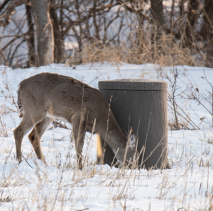 Banks Outdoors Feedbank Timber 250 Deer Feeder  • FBTIM250