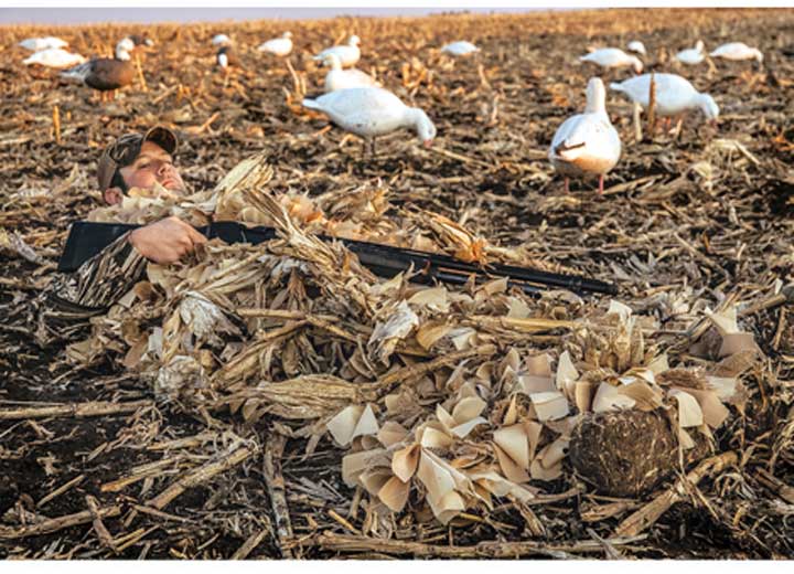 Beavertail Concealment Hunting Blanket, Golden Grain  • 401149