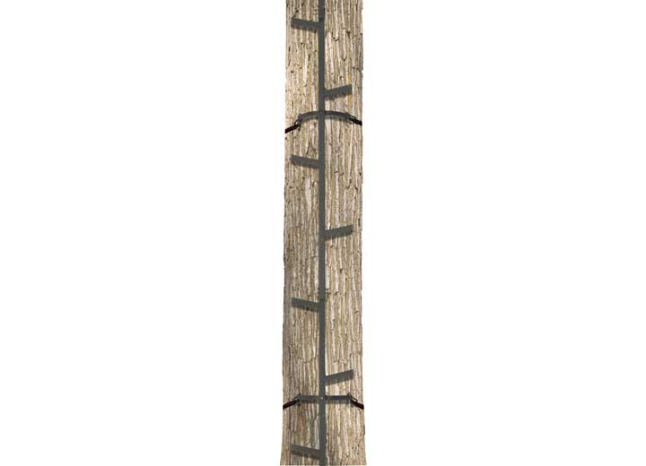 Big Game Quick-Stick 20' Climbing Stick - 5 Sections  • BGM-CS050