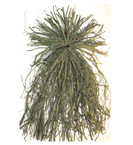 Beavertail Ghillie Grass Bundle Green - All Natural Raffia Grass Bundle  • 400160