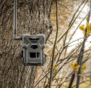 Spypoint Flex G-36 Cellular Trail Camera  • 01871