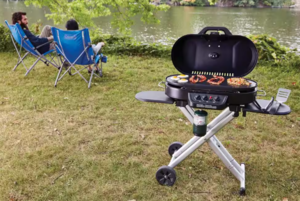 Coleman RoadTrip 285 Portable Stand-Up Propane Grill, Black  • 2000033052