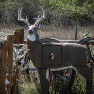 GlenDel Full-Rut Buck Target with 4-Sided Insert  • G75000