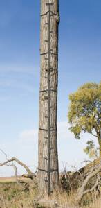Big Game Quick-Stick 20' Climbing Stick - 5 Sections • BGM-CS050