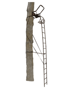 Big Game Warrior DXT Ladder Stand  • BGM-LS3811