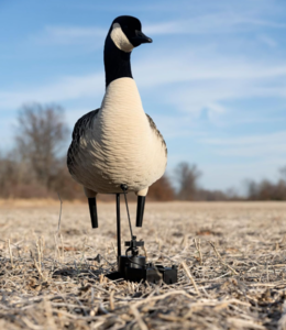 Avian-X X-Factor Decoy Motion System  • AVX-XFDMS