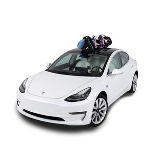 SeaSucker Pallavicini Ski Rack • SK2425