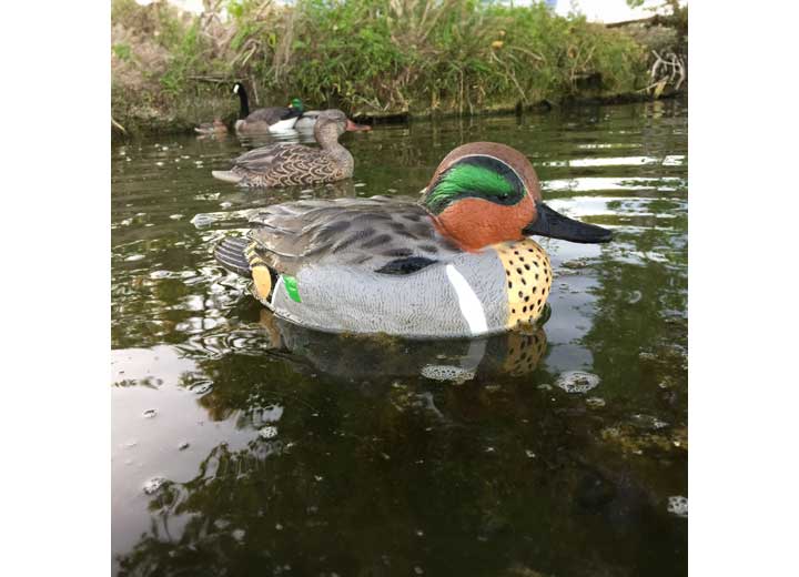 Beavertail Refuge Series Teal Floater decoys - 6 Pack • 450007