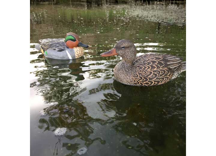 Beavertail Refuge Series Teal Floater decoys - 6 Pack • 450007
