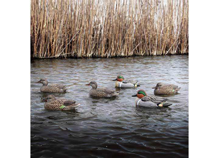Beavertail Refuge Series Teal Floater decoys - 6 Pack • 450007